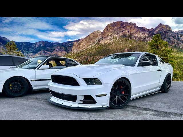 Taking My Mustang on a Scenic Mountain Run