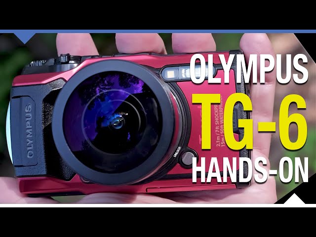 Olympus TG-6 Hands-On Tour