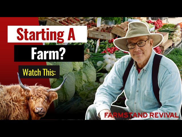 JOEL SALATIN: How I grew my HOMESTEAD into a $4M/yr farm!