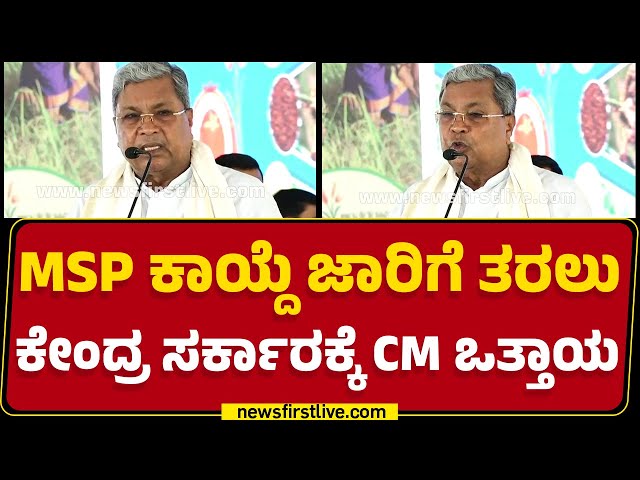 MSP ಕಾಯ್ದೆ ಜಾರಿಗೆ ತರಲು ಕೇಂದ್ರ ಸರ್ಕಾರಕ್ಕೆ CM Siddaramaiah ಒತ್ತಾಯ | BJP | Congress | @newsfirstkannada