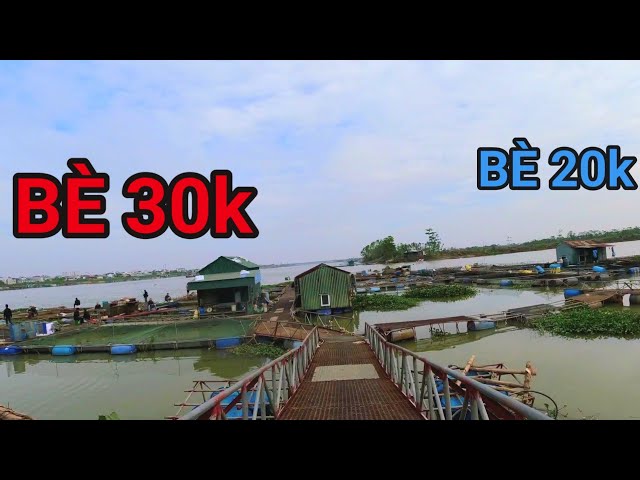 CHẠM HÀNG TRÊN BÈ 30K VÀO NGÀY CON NƯỚC CH.ẾT#CÂUCÁSÔNG#fishing