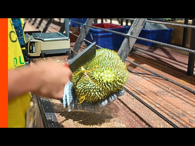 Can YOU Handle the Smell? Frozen Durian CHOPPED & PEELED at DurianMan!