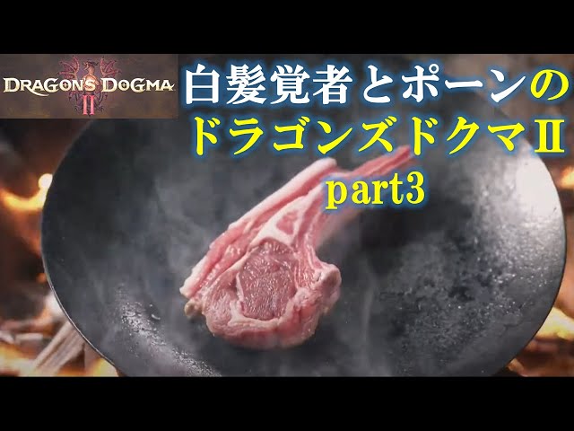 [ドラゴンズドグマ2]白髪覚者とポーンのDragon's Dogma2 part3