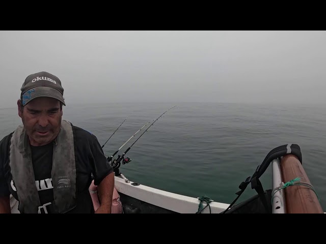 PESCA AO CHOCO COM NEVOEIRO Setúbal #GoPro #dicasdobeja  #portugal