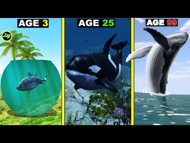 Surviving 99 YEARS As A KILLER WHALE in GTA 5