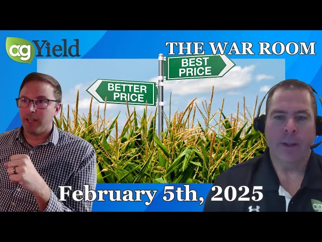 The War Room: Wednesday, February 5th, 2025 | Market insights for grain farmers