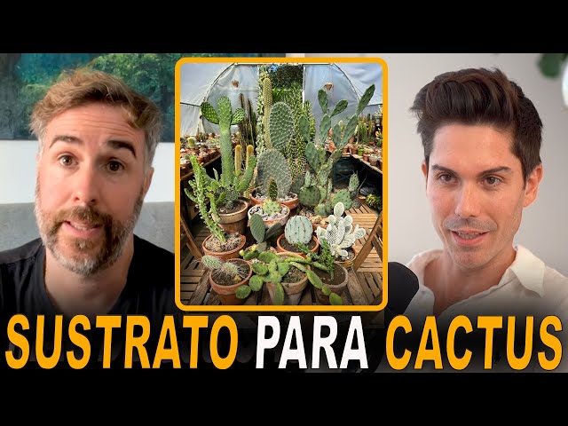 Cómo hacer un SUSTRATO para CACTUS (por tara_desert)