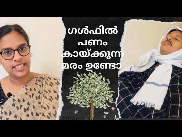 ഗൾഫിൽ പണം കായ്ക്കുന്ന മരം എവിടെയാണാവോ..?? 🧐😨 #malayalamcomady #entertainingvideos