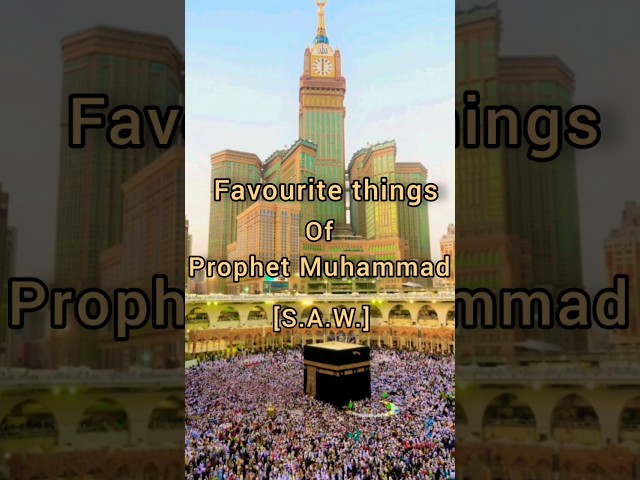 Favorite things of Prophet Muhammad [S.A.W.]❤ Part-1 ☪️ #shortsvideo #muhammadﷺ