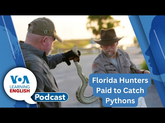 Botswana diamond, Python hunt in Florida, Conditionals, Smoky Mountains