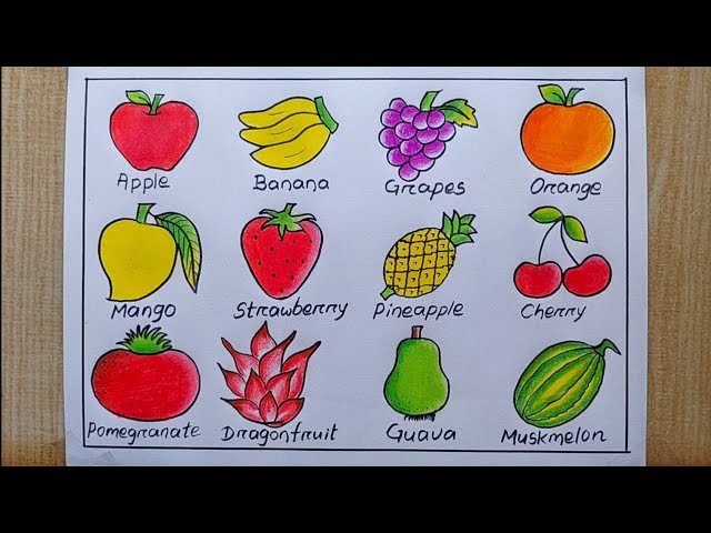 Different types of Fruits drawing easy| How to draw 12 different types of fruits|Fruits drawing easy