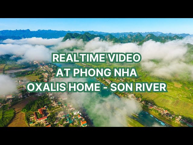 Phong Nha: Realtime video (at Oxalis Home - Son River)