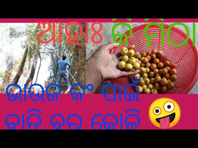 First blog post video on odia|very sweet fruit|