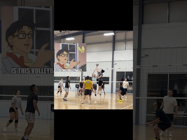 extremely questionable volleyball