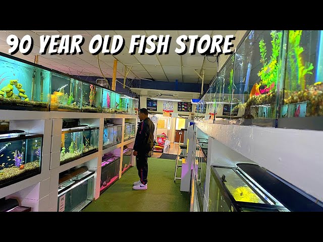 THIS FISH STORE HAS BEEN OPEN FOR 90 YEARS *Tour*