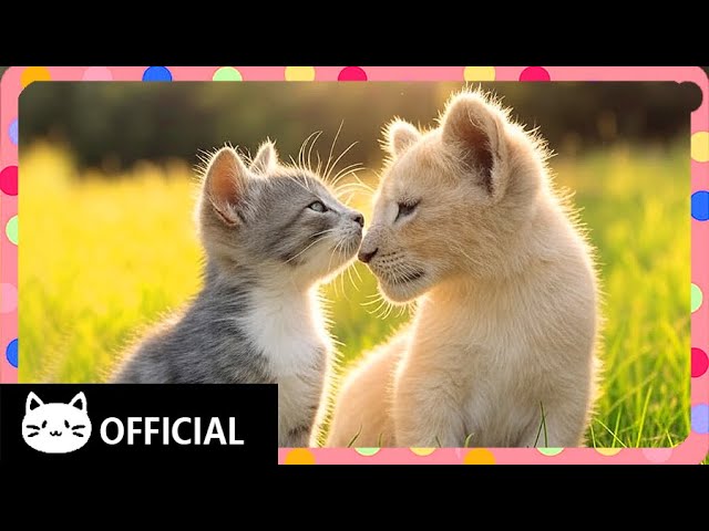 [Cat Song] Roar of Joy | Calming Tunes for the Soul 🎶