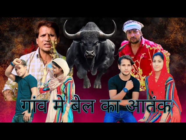 Best video ! गांव मे बेल का आतंक!/OK Fun //पहाड़ी बेर || HAKKU SINGARIYA