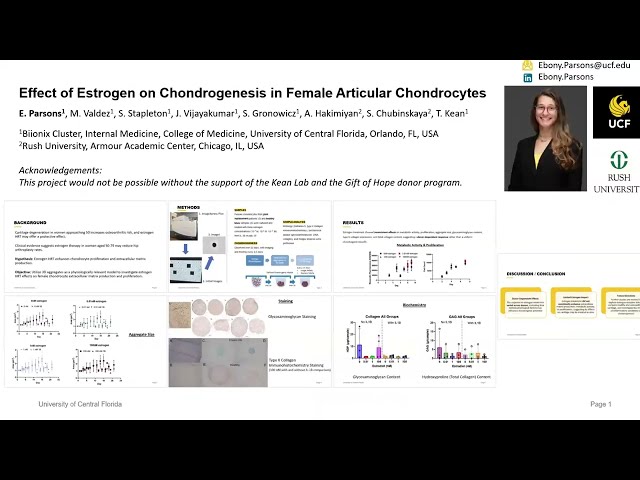 ORS 2025 - Ebony Parsons - Effect of Estrogen on Chondrogenesis in Female Articular Chondrocytes