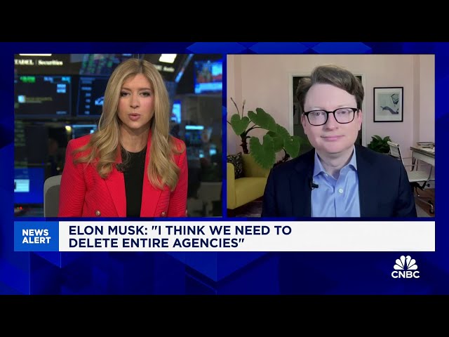 Elon Musk poses potential conflict of interest in the government, says author Tim Higgins