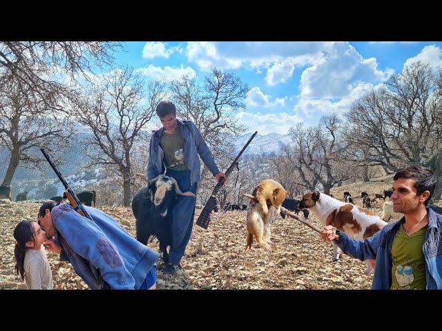 Discover The Fascinating World of Nomadic Life in the Iran mountains/Squirrel hunting by herd dogs