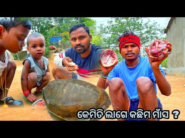 Turtle cooking and eating || ଓୌଷଧୀୟ କଇଁଛ ମାଁସ ।। village tribal life