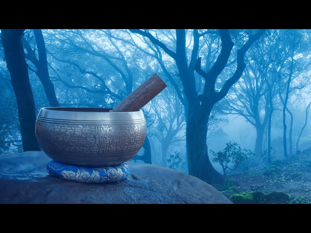 Black Screen Rain in Woods + Tibetan Bowls | Relax, Study or Sleep with White Noise Music