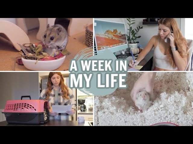 A WEEK IN MY LIFE | Victoria Raechel (Oct 2022)