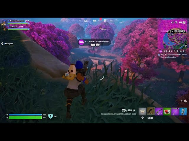 Fortnite w Mafiyahh 5