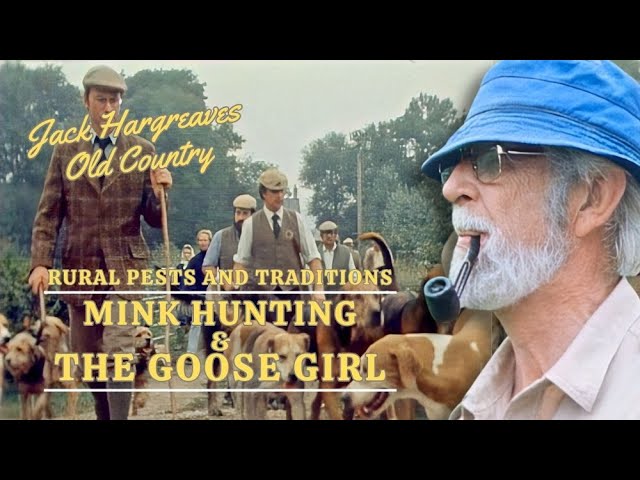 The Prince, the Mink hunt, and the Goose Girl - Jack Hargreaves