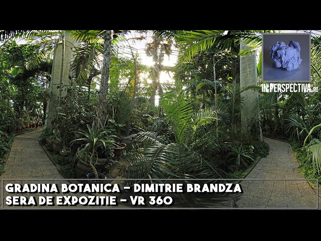 Gradina Botanica - Dimitrie Brandza - Sera de Expozitie  VR 8K 360°