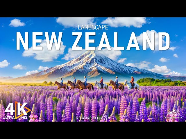 NEW ZEALAND 4K UHD - New Zealand’s Natural Wonders in 4K with Calm Music