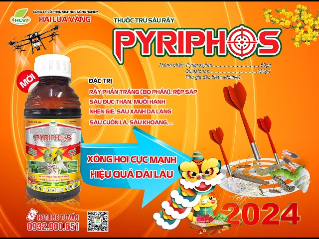 [HLV 340] PYRIPHOS - ĐẶC TRỊ RẦY PHẤN TRẮNG