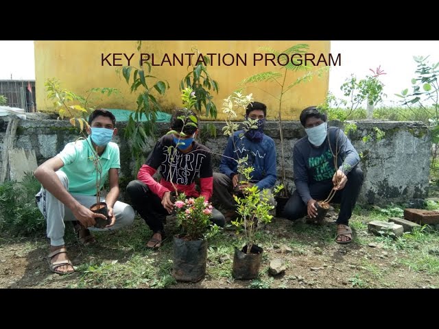 Key plantation program |  World ozone layer | 16TH September