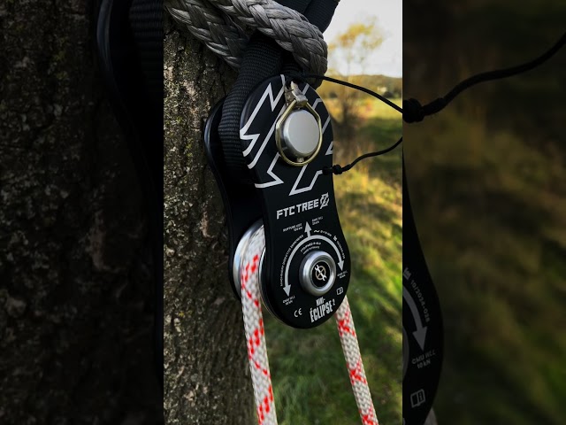 MINI-ECLIPSE Pulley - FTC TREE