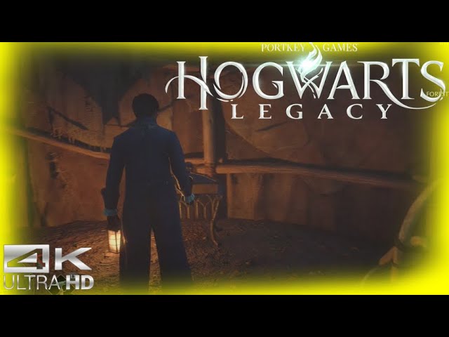 Reducto - Hogwarts Legacy Part 180