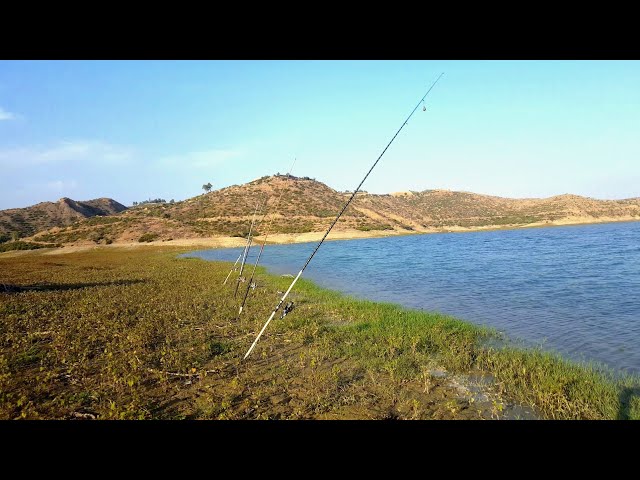 CARP FISHING  AND CAMP ÇATALAN DAM, TURKEY