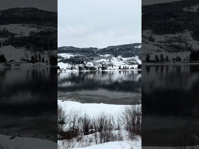 Onboard the Bergen railway from oslo in winter