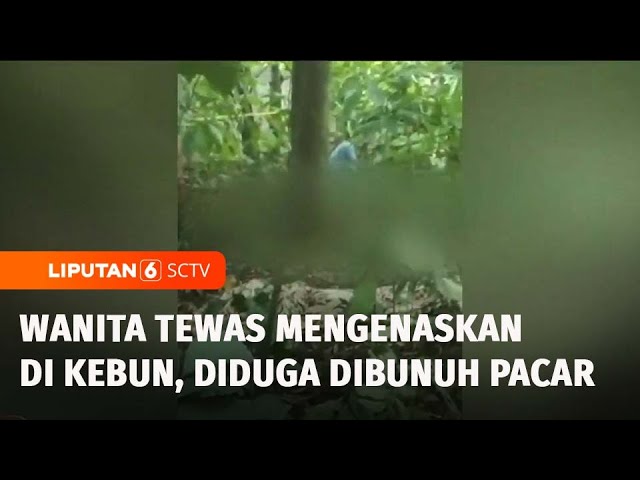 Geger! Jasad Wanita Ditemukan di Tengah Kebun Purwakarta, Korban Terakhir Bertemu Pacar | Liputan 6