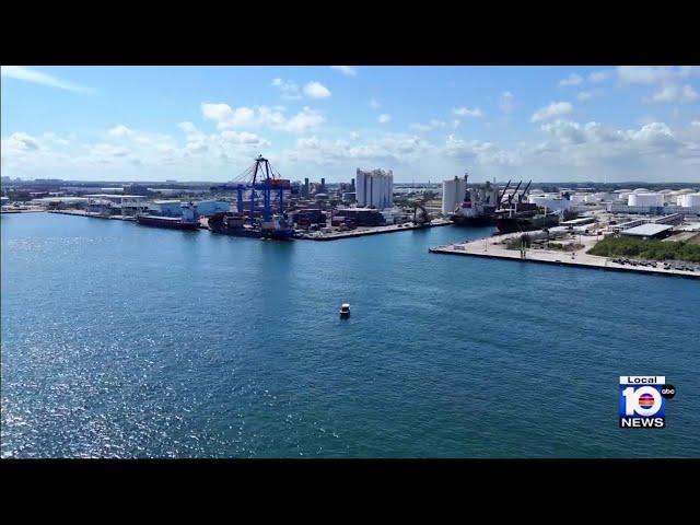 Checking in on process of protecting endangered corals while modernizing Port Everglades