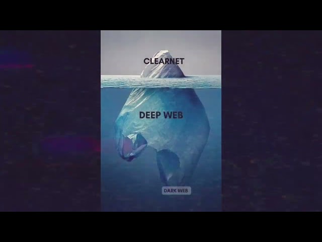 Qué es la Deep Web y la Dark Web?