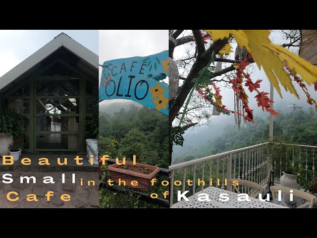 Cafe Olio Kasauli Himachal | Beautiful Small Cafe Olio in Kasauli Mountains Hills