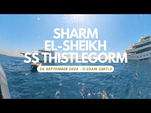 Sharm El-Sheikh SS Thistlegorm Dive Point - 06 September 2024 - 2