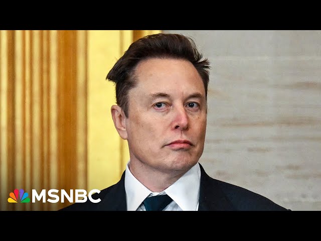 Elon Musk called out for raking in $8 million a day from taxpayers