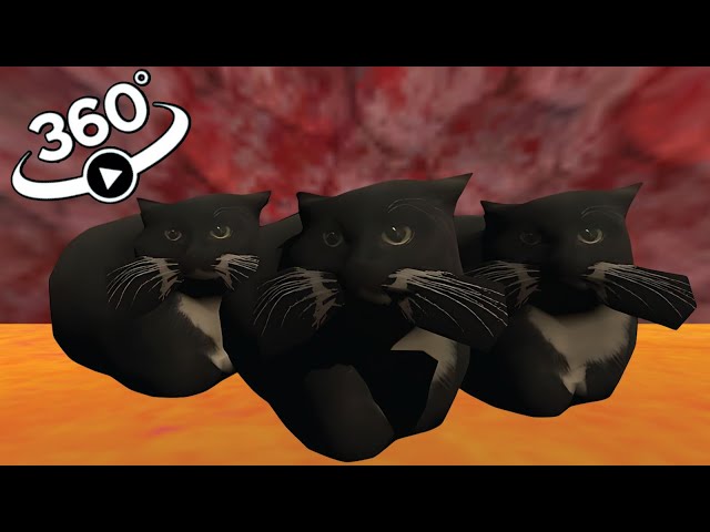 Maxwell The Cat dance at outer space but it's 360 degree video | VR 360 Maxwell cat