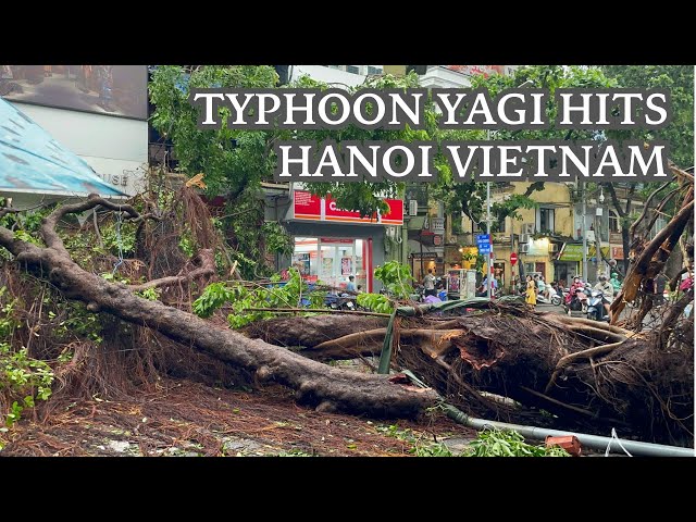 Hanoi was devastated after Super Typhoon Yagi makes landfall in Vietnam