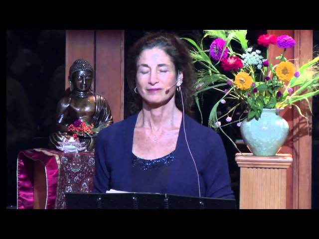 Tara Brach leads a Guided Vipassana (Insight or Mindfulness) Meditation