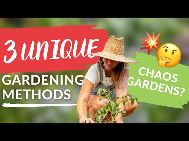 Unique Gardening Techniques: 3 Non-Traditional Methods