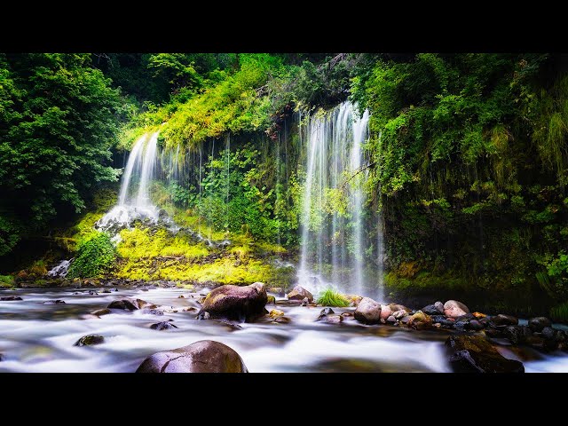 Fall Asleep to Powerful Waterfall Ambience 15 minutes | Water White Noise Sleep Sounds