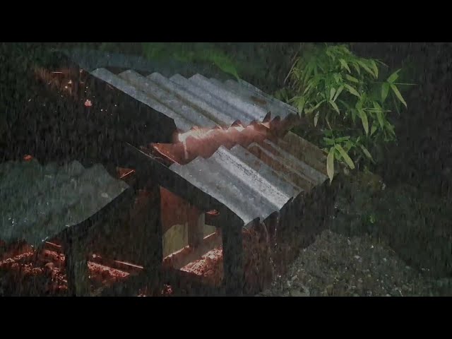 Relaxing Rain Sounds on Roof in Foggy Night Forest Deep Sleep and White Noise