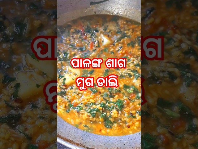 ପାଳଙ୍ଗ ଶାଗ ମୁଗ ଡାଲି ତରକାରି👌 #odia #recipe #shortvideo #shorts #viral #viralvideos #youtube #odiafood